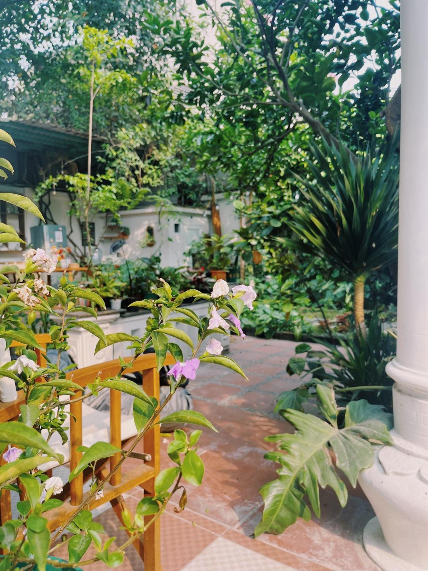 1.Home Hanoi Kültér fotó